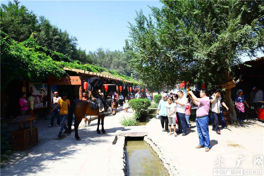 深圳出发西双版纳预算指南 热带风情游全解析