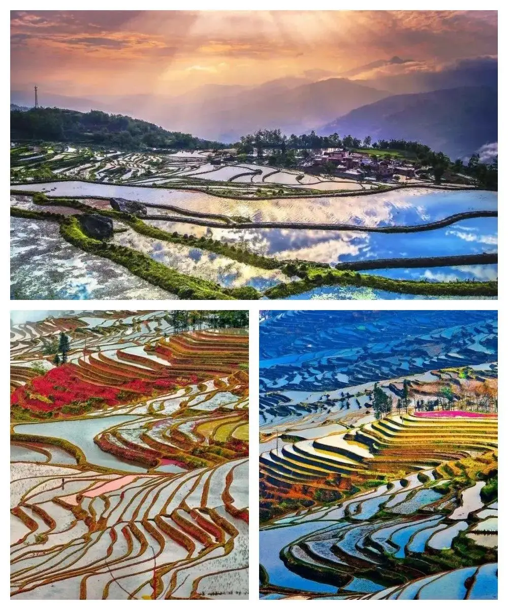 温州直飞西双版纳机票价格探秘 热带雨林之旅性价比解析