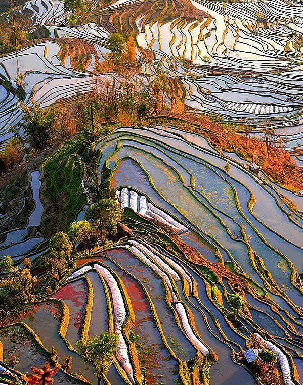 漫步丽江古城，这些歌曲让你的旅途更有味道