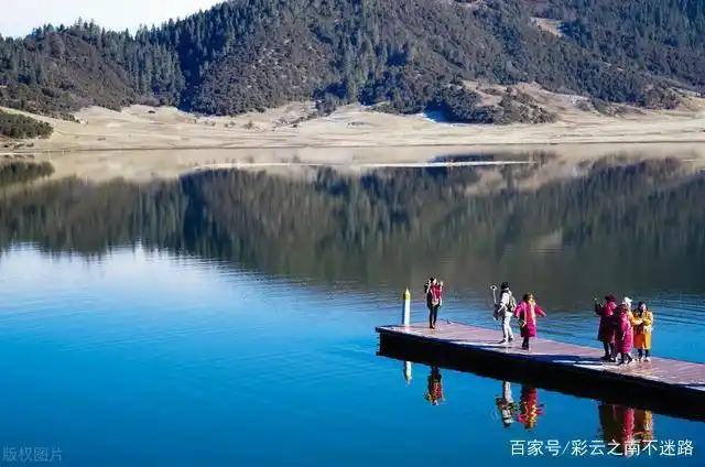盛夏香格里拉避暑指南：高原花海与清凉体验