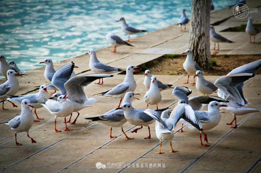 高个子的云南穿搭指南，这样穿既舒适又出片
