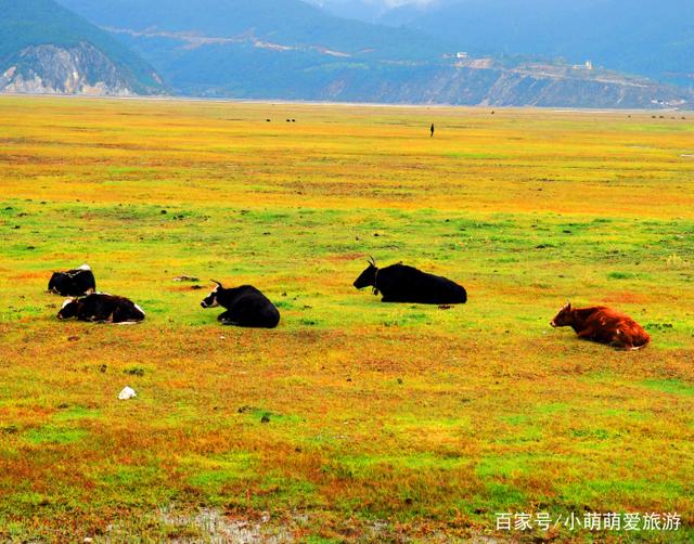 云南旅游必备证件清单 这些证明文件缺一不可