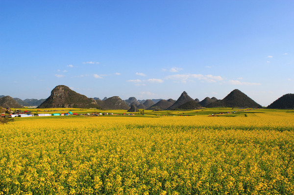 三月云河畔的春日絮语，防疫旅行两不误