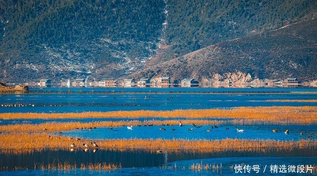 春节西双版纳旅行必看：核酸检测最新要求与实用攻略