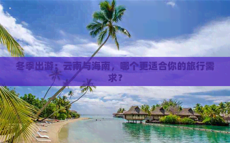 冬日暖阳下海南与云南的旅行抉择