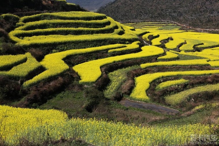 高考后的心灵栖息地 应届生必打卡的云南小众目的地