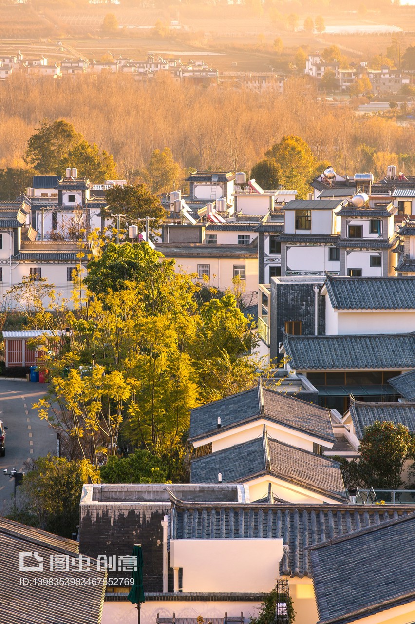 曲靖寻苗记：板栗种植园里的绿色宝藏