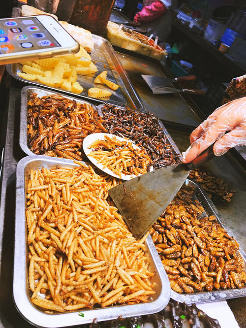 大理古城漫步指南，探寻白族文化的美食与建筑