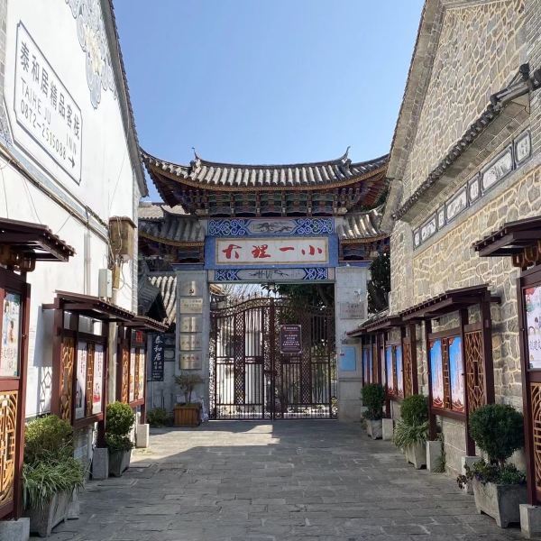 日本家庭游云南：5个孩子的奇妙旅程