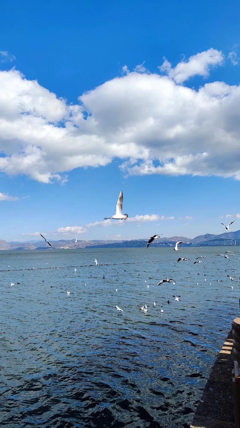 香格里拉旅游消费指南 预算规划不踩坑