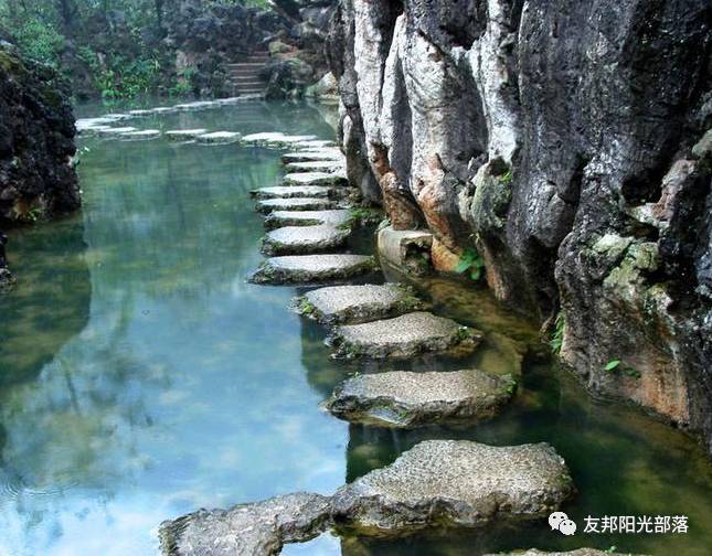 西双版纳雨林探险，如何避免蚊虫叮咬的实用指南
