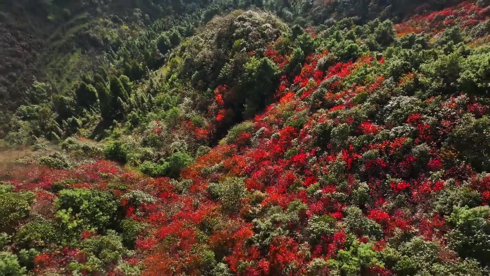 印度姑娘在昆明的打工记：异国生活的酸甜苦辣