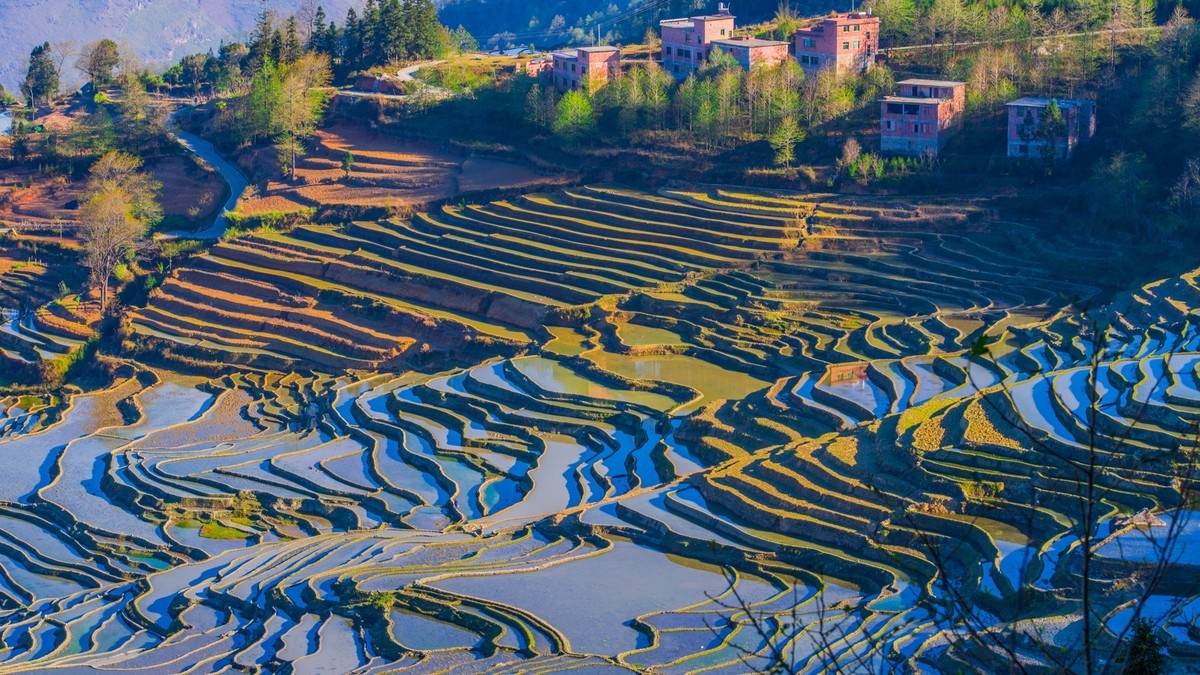 学生党必看！云南旅行省钱又安全的实用攻略