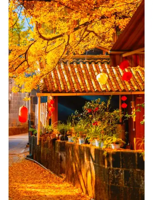 旅途中的小烦恼 云南旅行如何应对肠胃不适