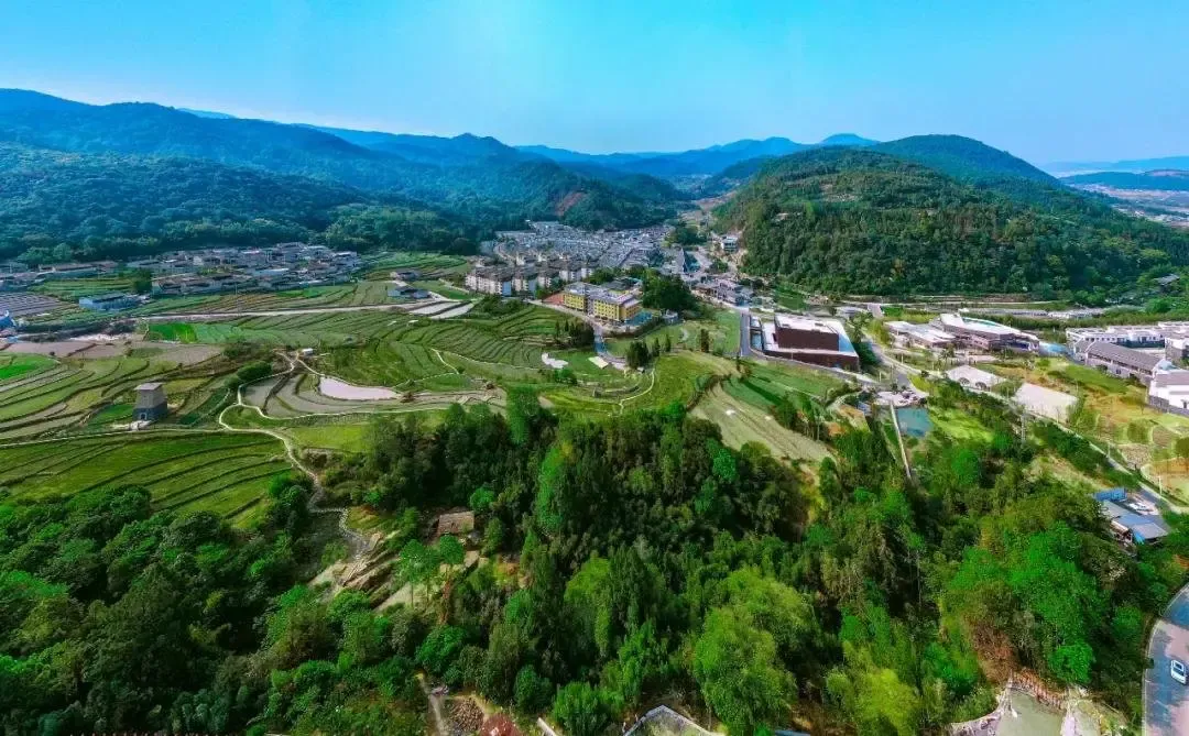 冬日云南水果图鉴：这些甜蜜滋味温暖你的旅程