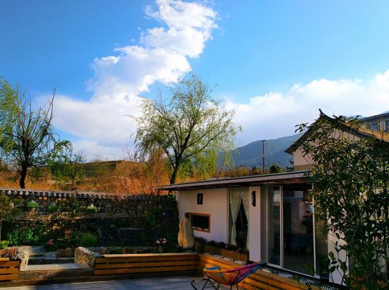 香格里拉旅行新规：带宠物狗需注意这些细节