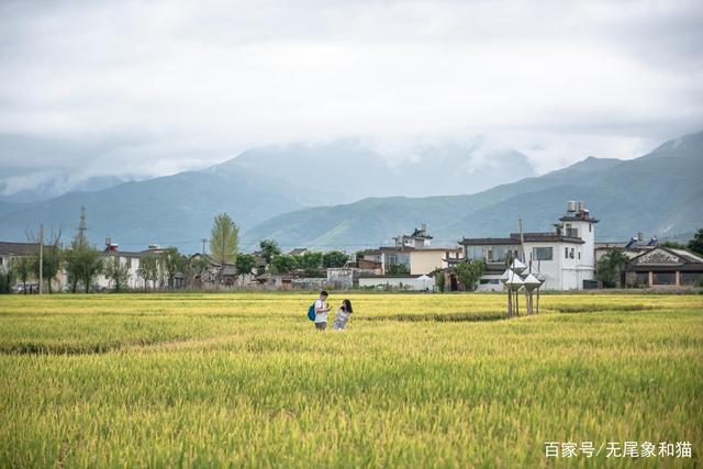 漫步大理古城，穿对颜色拍出绝美旅行照