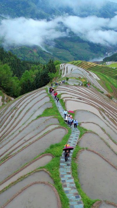 龙脊梯田