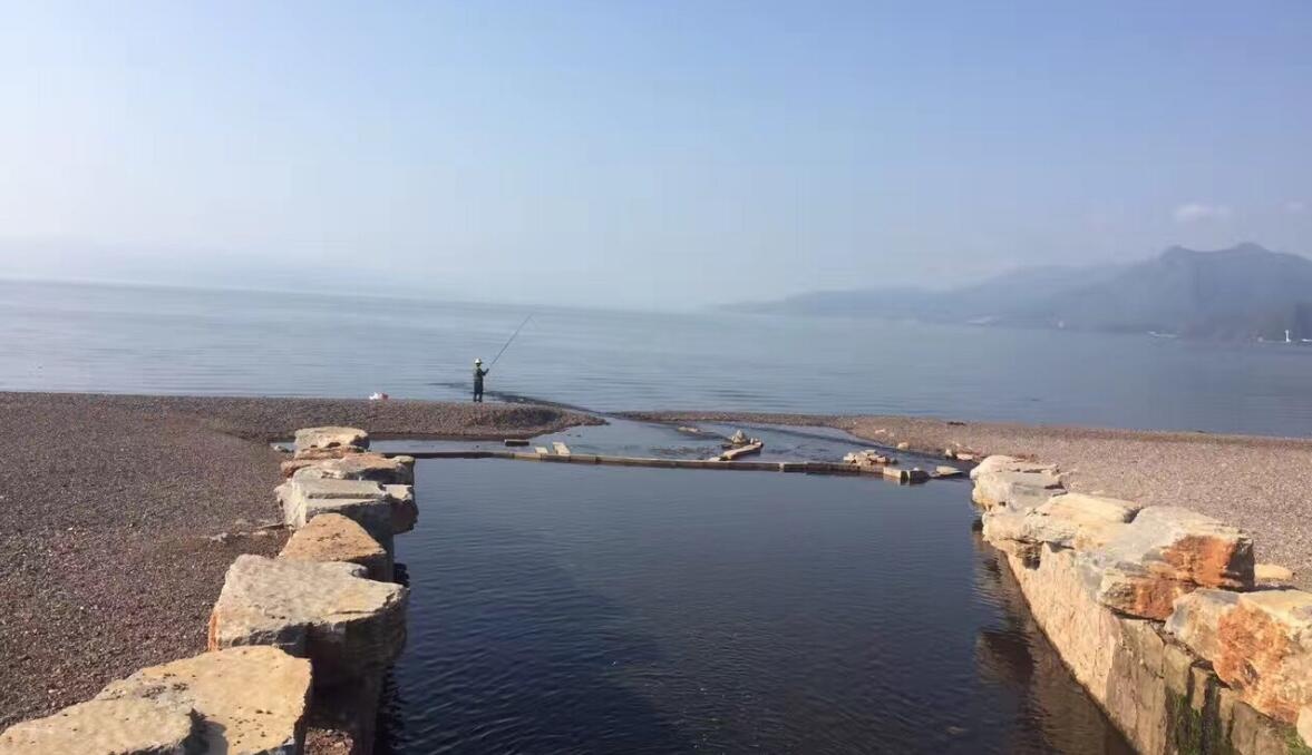 普洱老茶与新茶，哪一种更适合带回家