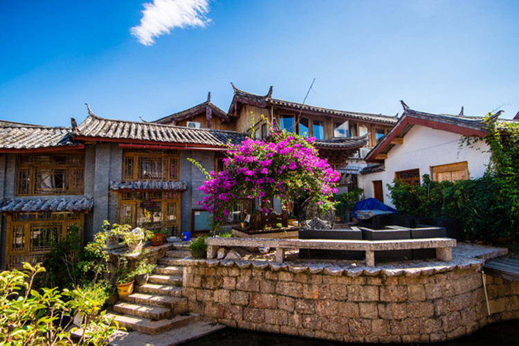 香格里拉旅行健康指南 这些疫苗建议提前接种