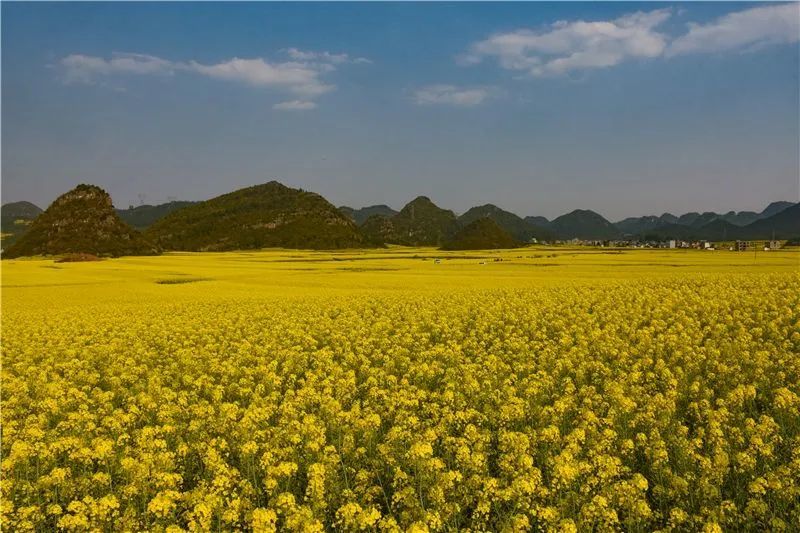 德宏至西双版纳旅游核酸政策最新解读