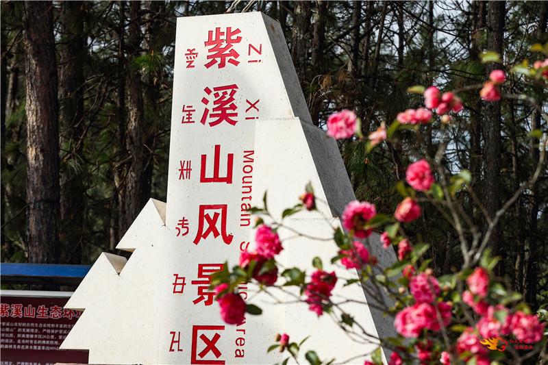 2026年云南旅游最新核酸政策全解析