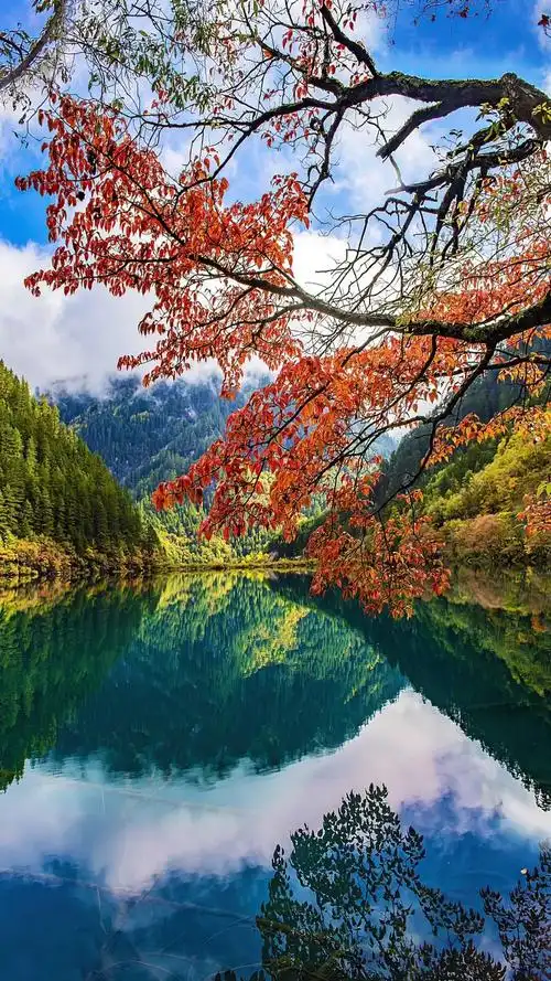 九寨沟景区