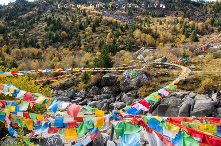 烟台至云南火车旅行指南：沿途风光与实用攻略