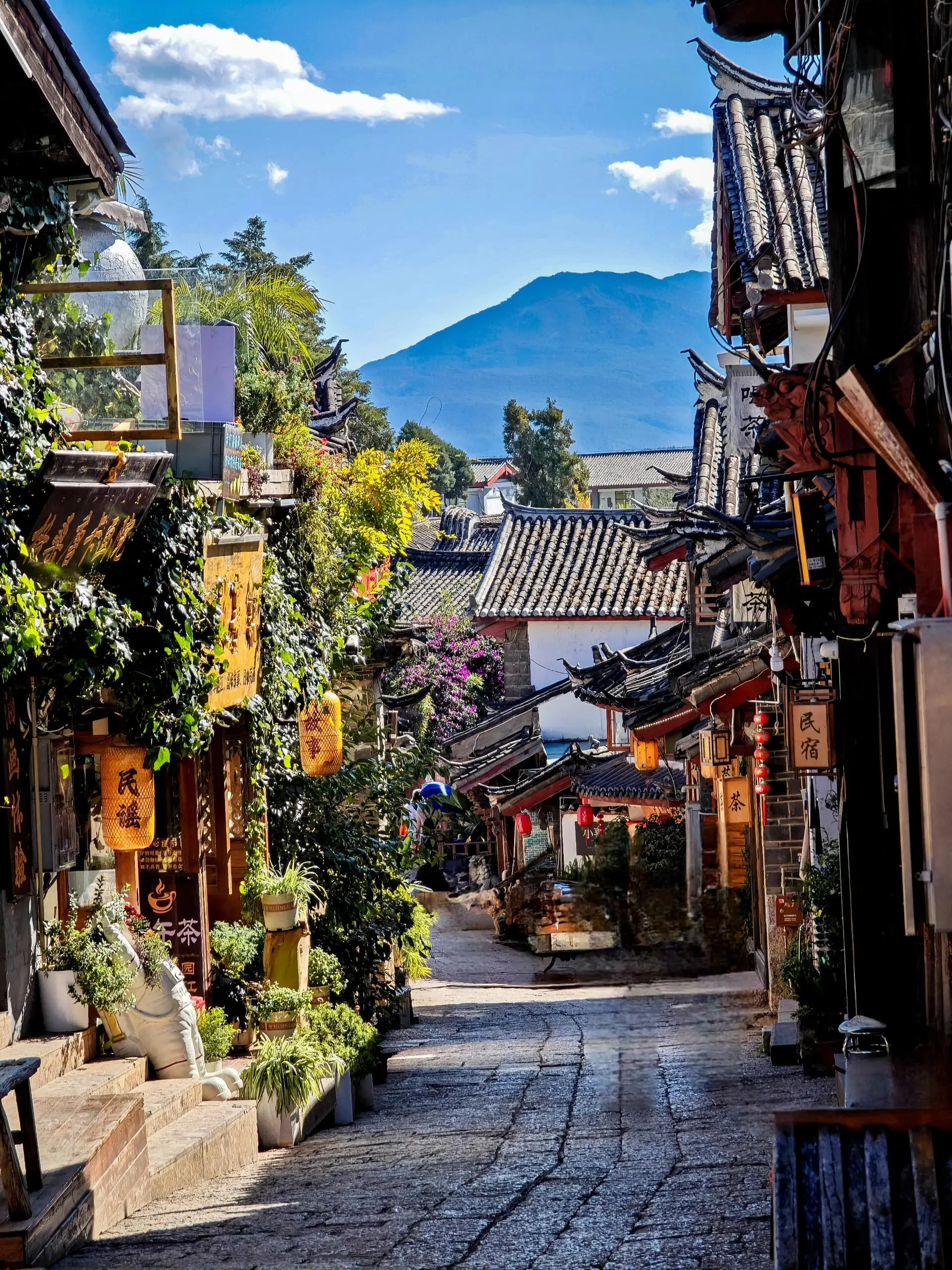 腾冲银杏村的秋日童话，金黄落叶铺就的浪漫小径