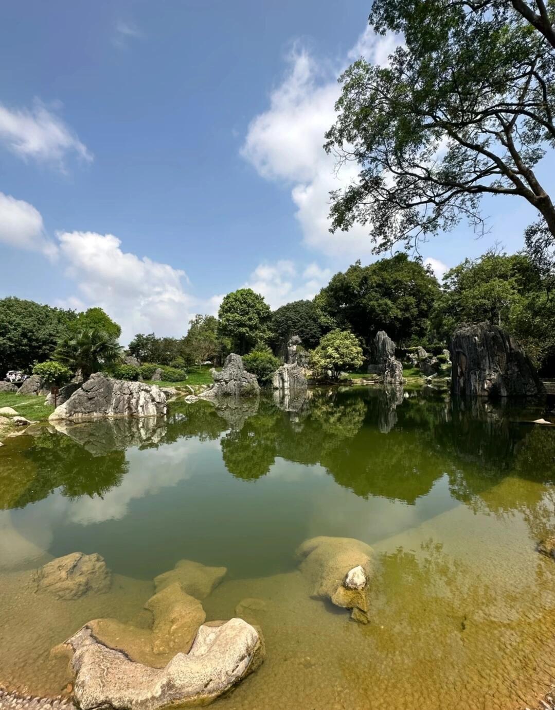 元阳梯田的四季画卷，邂逅大地艺术的绝美瞬间