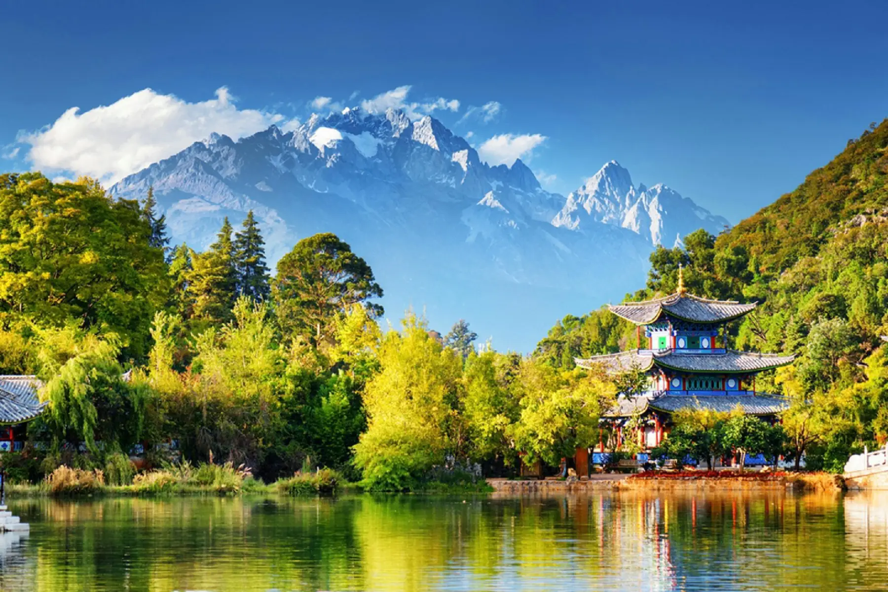 高铁直达云南：这几趟车次让你轻松开启彩云之旅